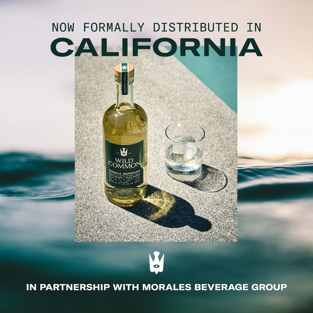 Wild Common Finds a Home in the Golden State