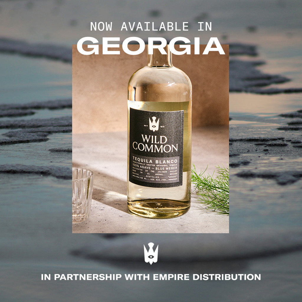 Bold Spirits, Southern Soul: Wild Common Lands in Georgia
